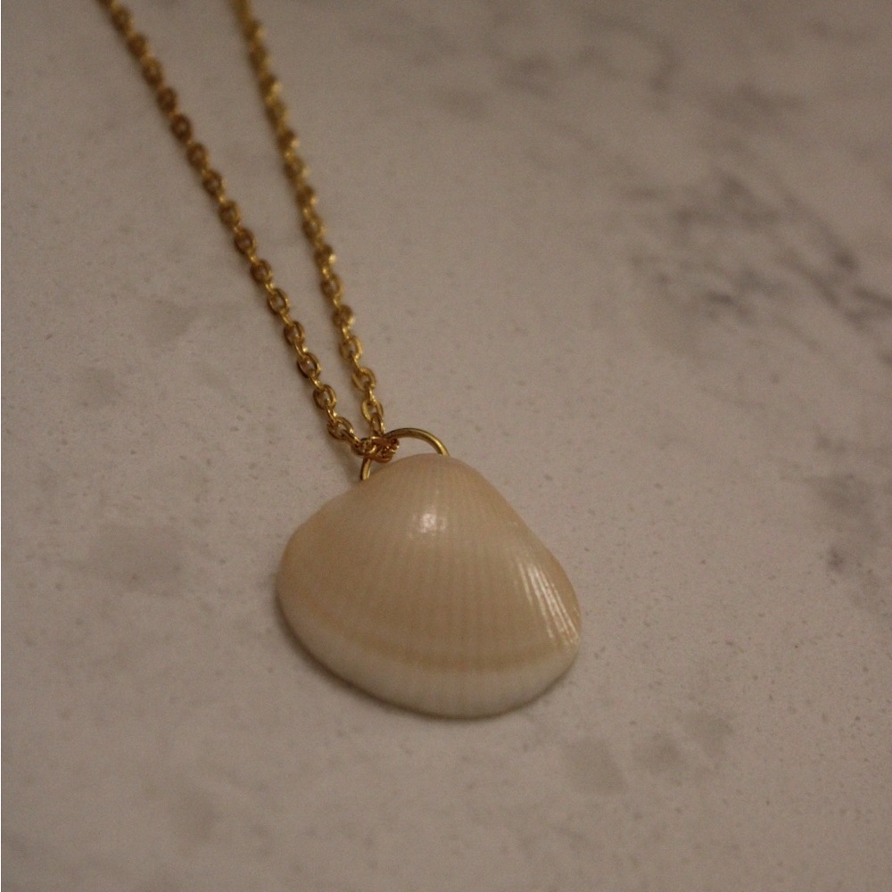 Gold Chained Real Shell Pendant Necklace